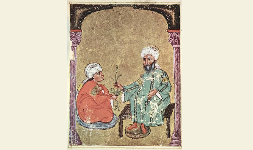 Arabischer Maler Des Kr Uterbuchs Des Dioskurides16x9